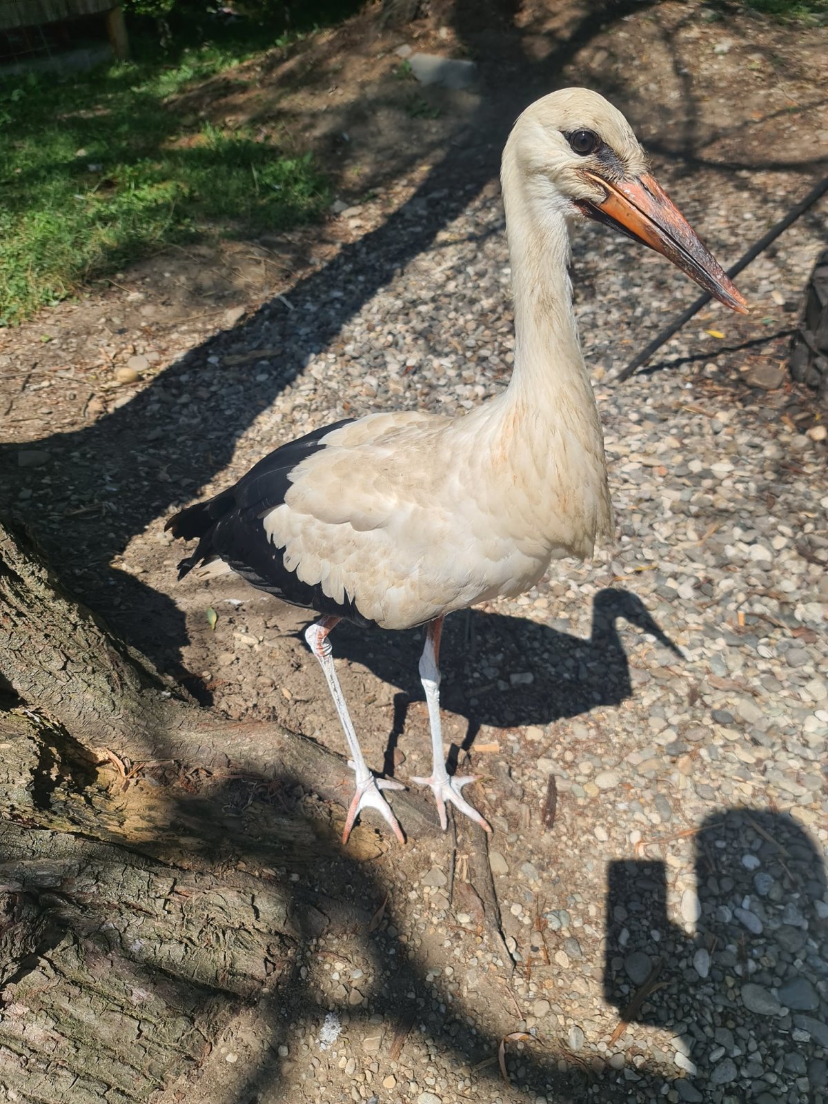 &bullet;  Fotó: Kovászna Megyei Környezetőrség