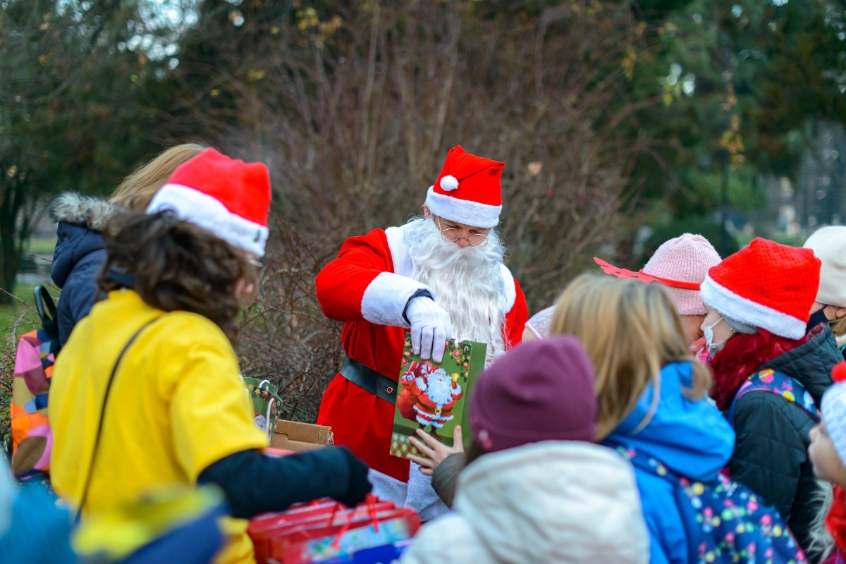 •  Fotó: Kristó-Gothárd Hunor