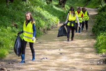 Környezettudatosságra nevelő programokra lehet pályázni