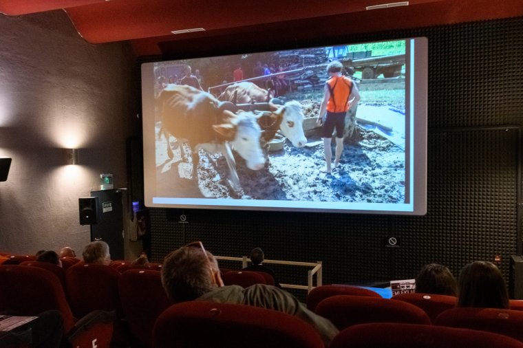 Díjazták a Kaptár dokumentumfilm-szemle legjobbjait