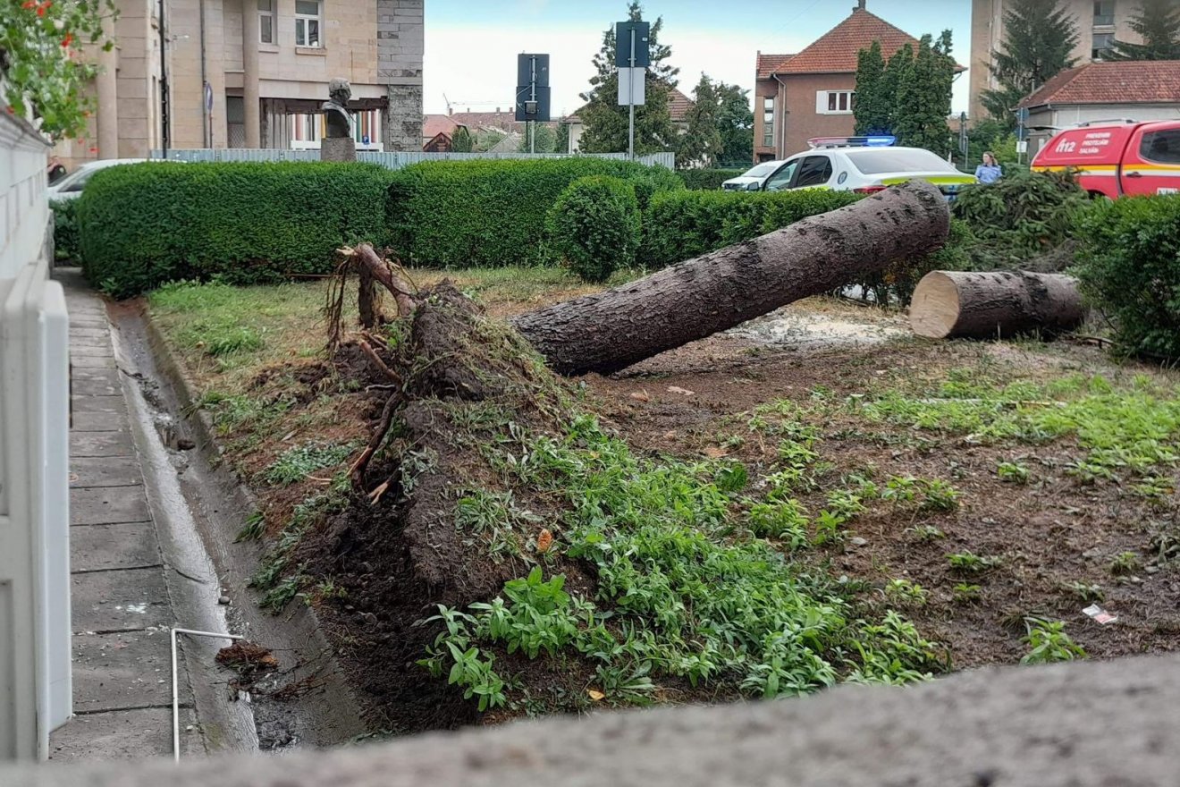 •  Fotó: Antal Árpád Facebook-oldala