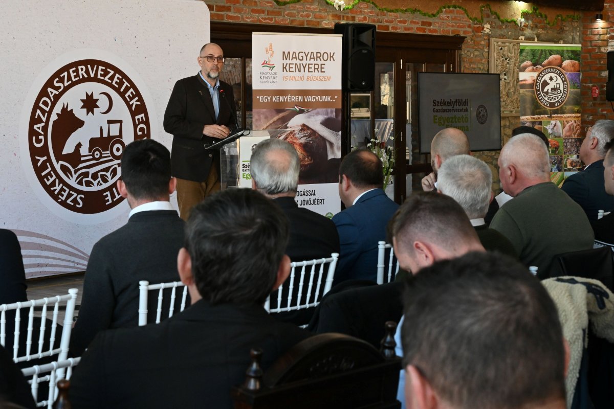 •  Fotó: Kátai Edit/MTI