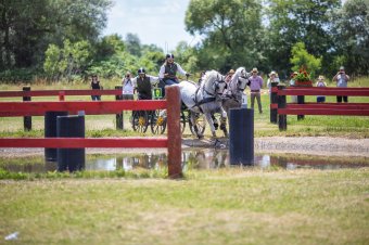 Ötödik nemzetközi fogathajtó verseny Oltszemen
