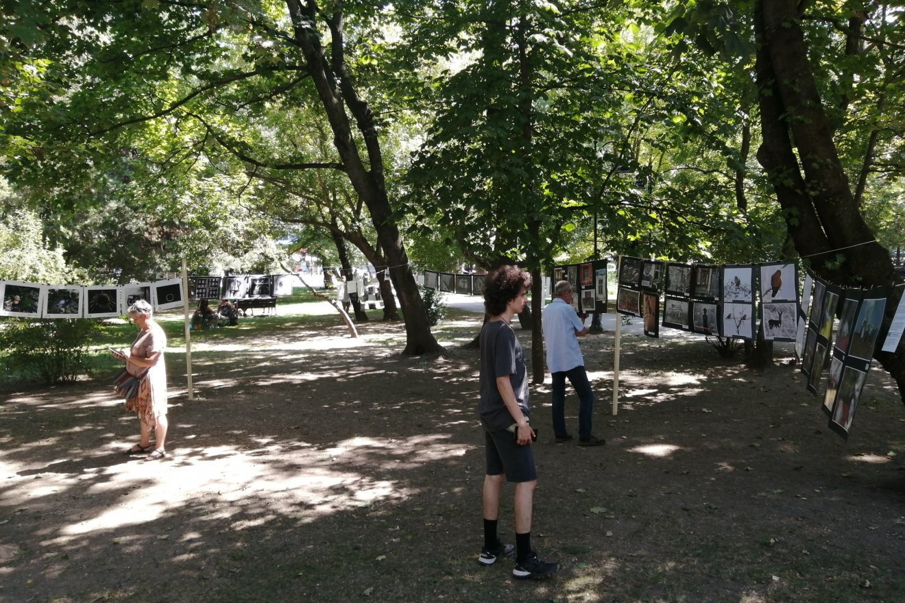 A park fái alatt kellemes kikapcsolódás a fotósnak nézni az érdeklődő nézőt, a nézőnek pedig a fotókat •  Fotó: Bodor Tünde