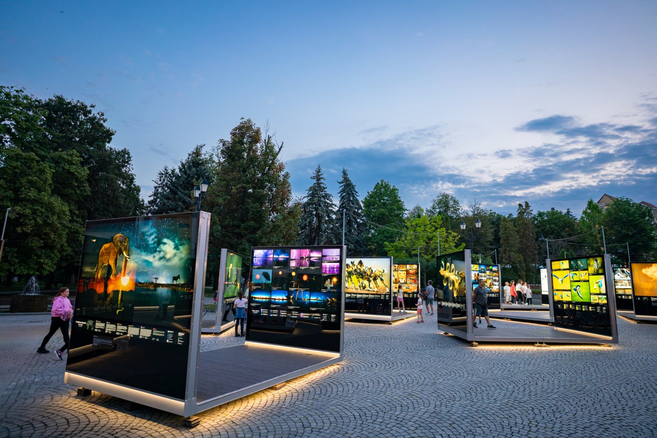 •  Fotó: Kristó-Gothárd Hunor