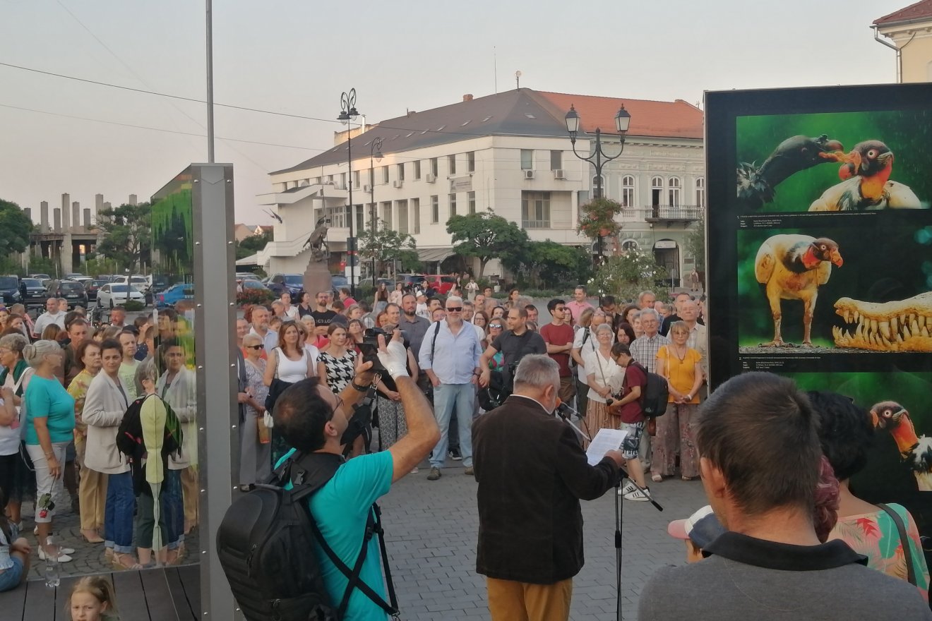 Ritkán ennyire mozgalmas a főtér. A sok helybeli mellett számos szakmabeli és turista jött más városokból is az eseményre •  Fotó: Bodor Tünde