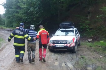Elszakadt a társaitól gombászás közben, az erdőben töltötte az éjszakát