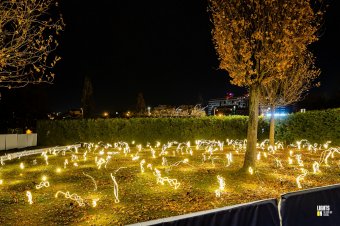Szentjánosbogár-rajzást modelleznek egy különleges fényinstallációval