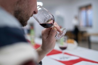 A tavalyi gyengébb termés ellenére sokan neveztek a ribizlibort népszerűsítő versenyre