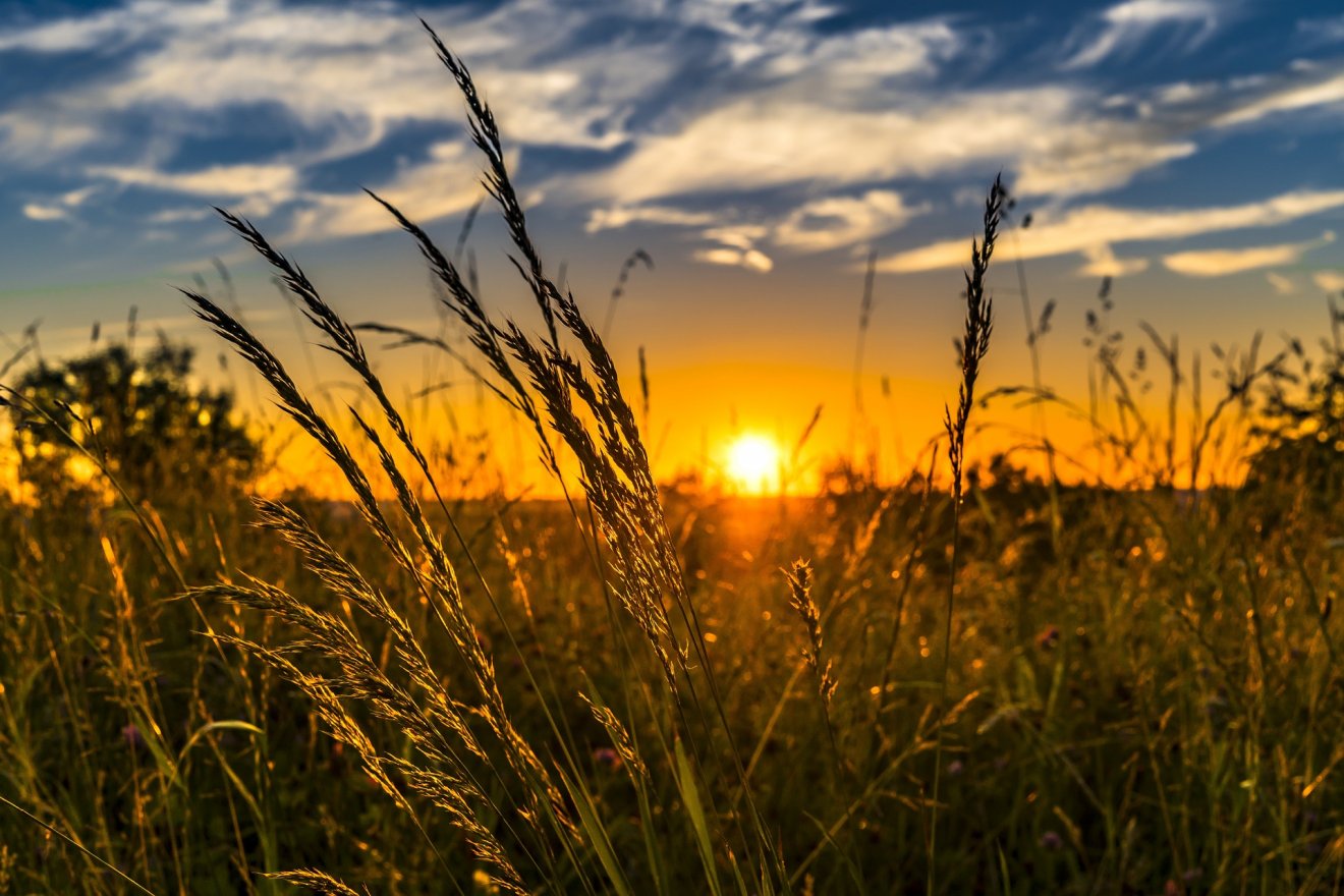 •  Fotó: Pixabay