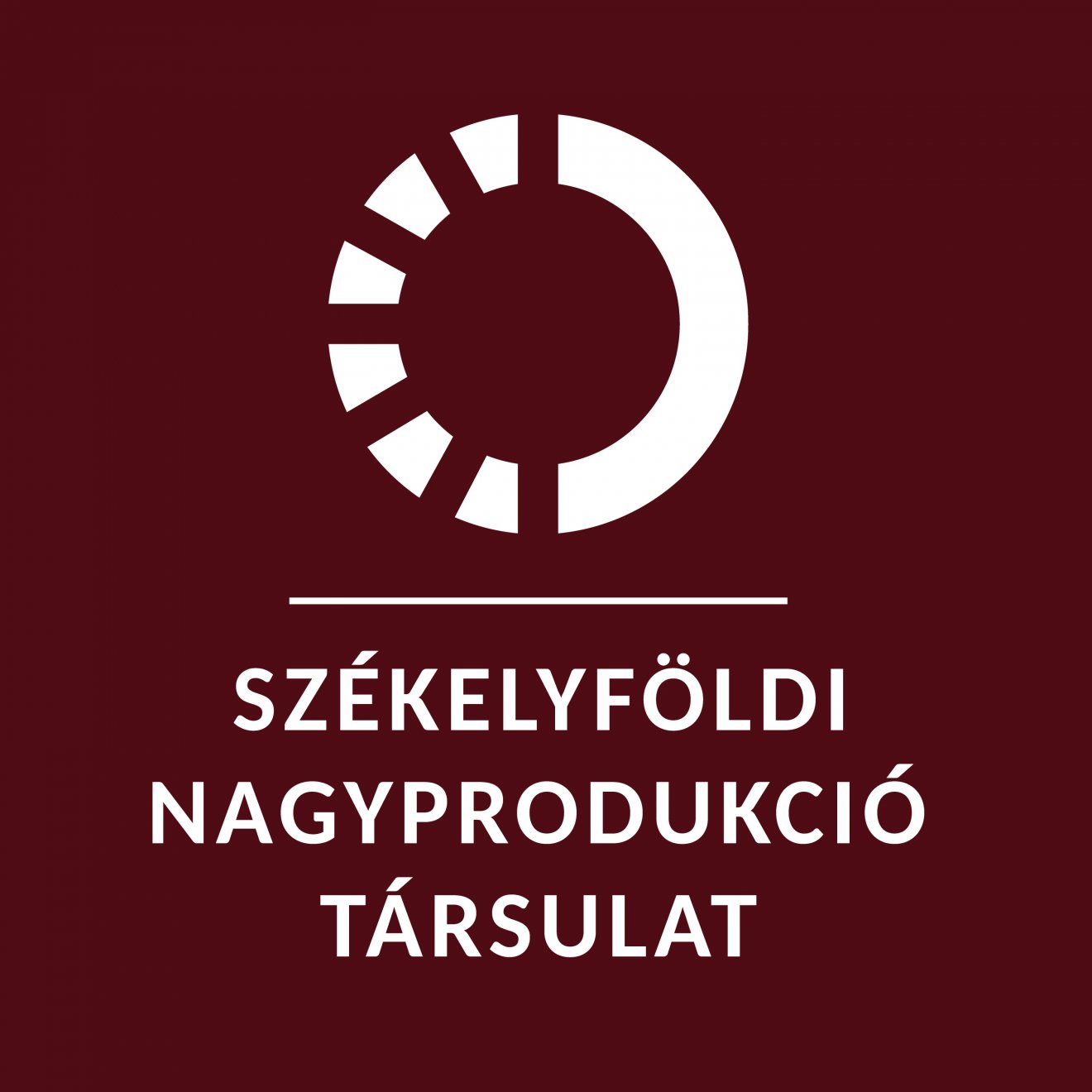 •  Fotó: Székelyföldi Nagyprodukció Társulat