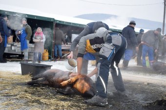 Ilyen egy ízig-vérig hagyományos disznóvágás