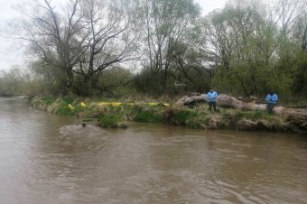 A szemétszolgáltató vállalat gondoskodik a jövőben a hulladékgyűjtő gátról