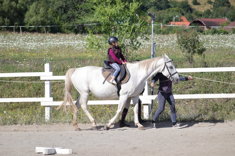 A székelyföldi cukorbeteg gyerekek és fiatalok közösségét hívják táborozni