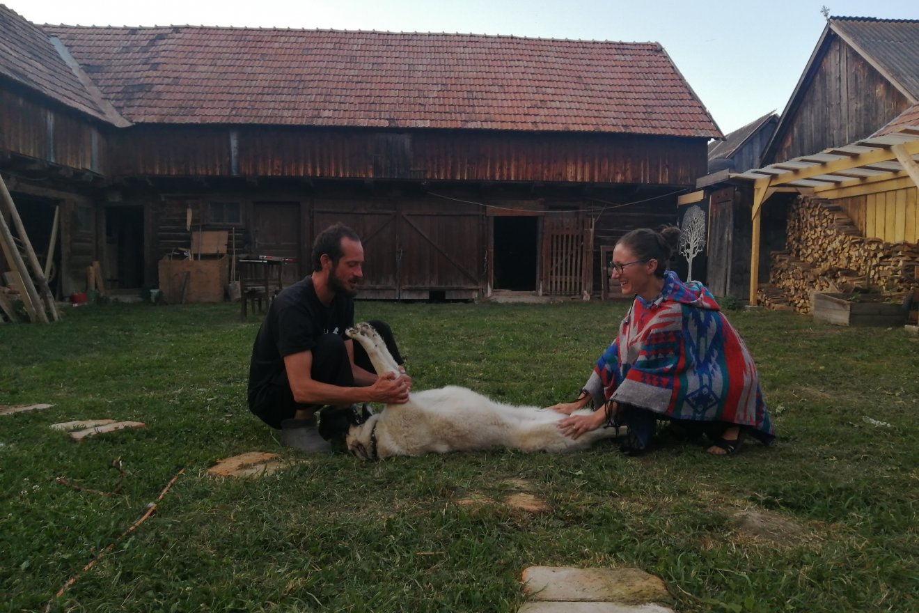 Mindenből van elég – és nem több a kelleténél. Ez  a zabolai életérzés •  Fotó: Bodor Tünde