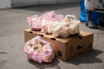 Mire figyeljünk, ha útszéli gombavásárlásra adjuk a fejünket?