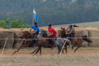 Székely Vágta: idén telivérek is vágtáznak a Óriáspince-tetőn