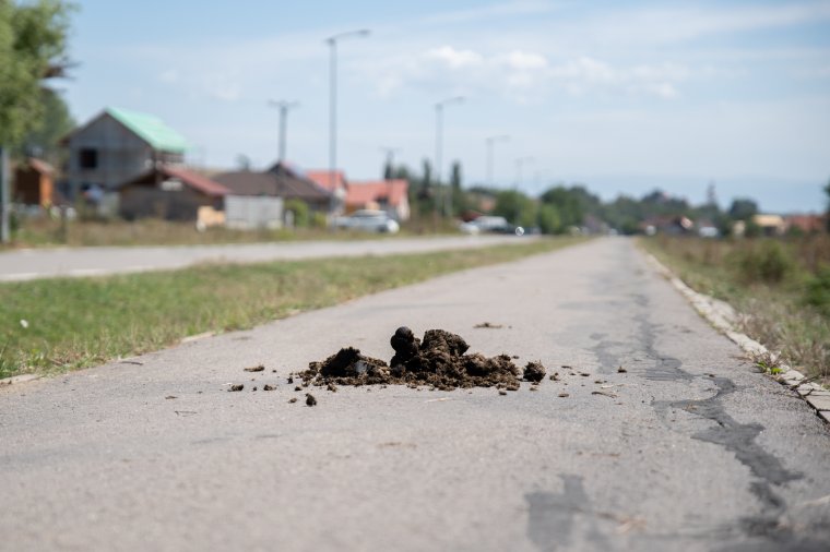 Felújított utak, rendezett zöldövezetek, meg egy kis lócitrom