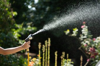 Az uborka fontosabb vagy a falusfelek? – ilyen dilemmákat is felvet a példa nélküli kánikula