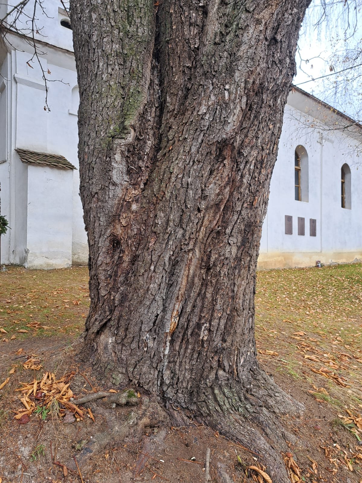 •  Fotó: Boldizsár Ferenc