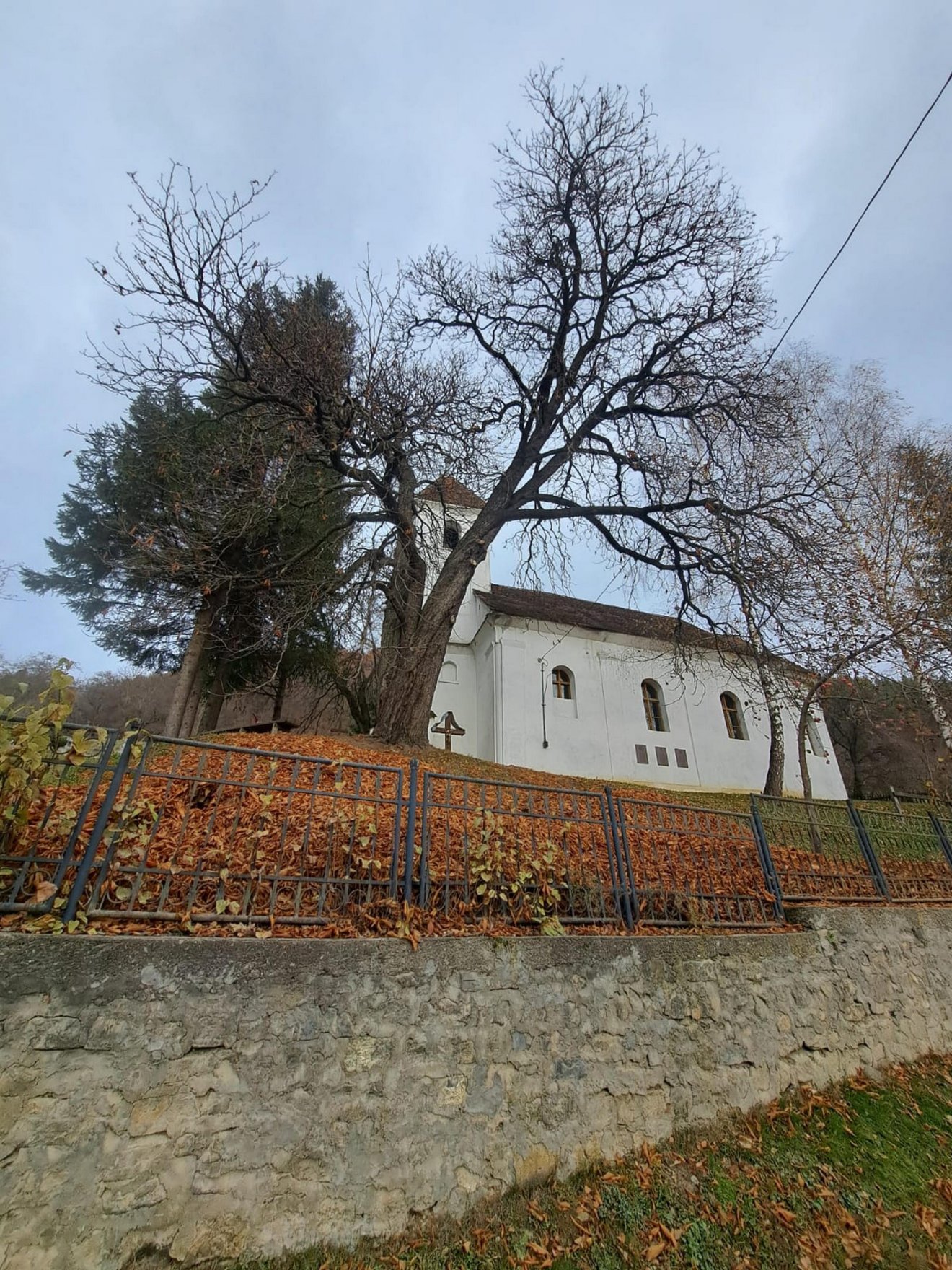 •  Fotó: Boldizsár Ferenc