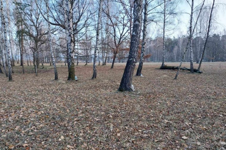 Nyírvizet bárhonnan, csak ne a Rétyi Nyírből gyűjtsenek