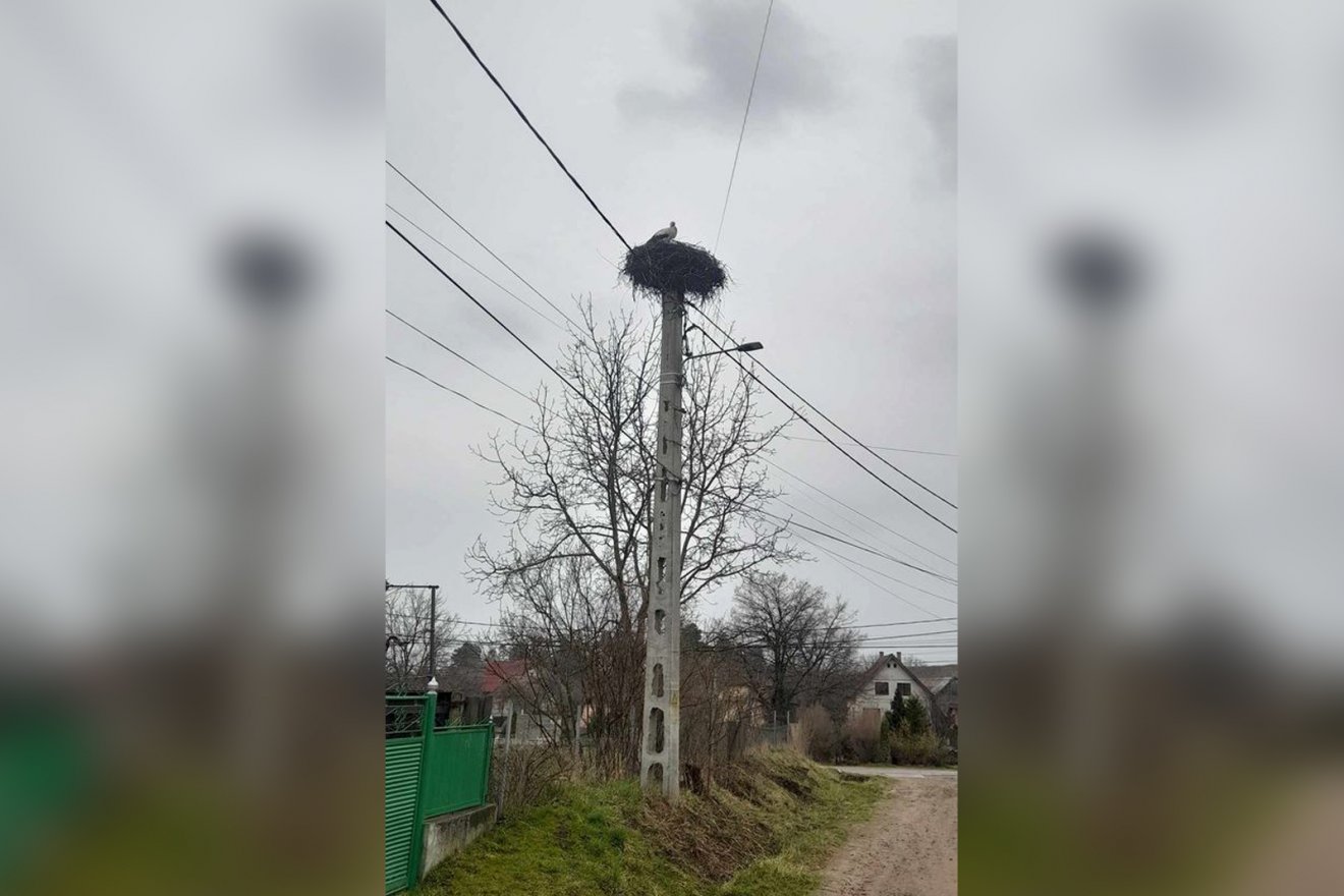 •  Fotó: Téglás Hunor