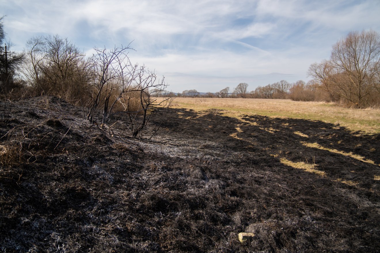 Ami még a borsos pénzbírságnál is súlyosabb következményeket von maga után. Natura2000-es természetvédelmi területeken történő égetés miatt 8 bűnvádi feljelentést történt a megyében az elmúlt hónapokban •  Fotó: Tuchiluș Alex