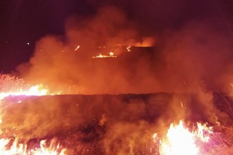 Több mint tíz hektáron égett a száraz növényzet