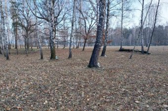 Nyírvizet bárhonnan, csak ne a Rétyi Nyírből gyűjtsenek