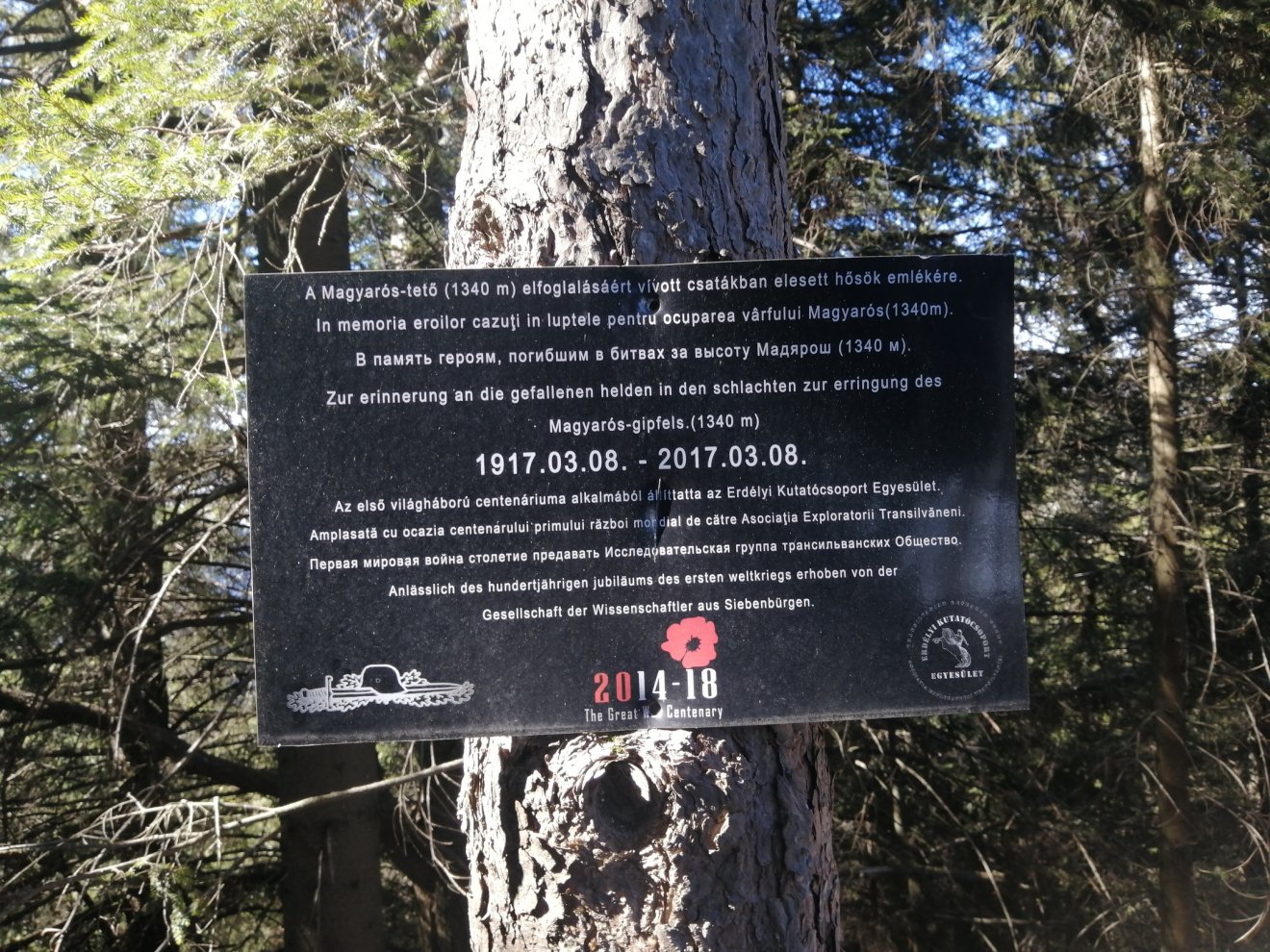 A Magyaros-tetőn Erdélyi Kutatócsoport Egyesület állított mementót a csata százéves évfordulóján •  Fotó: Bodor Tünde
