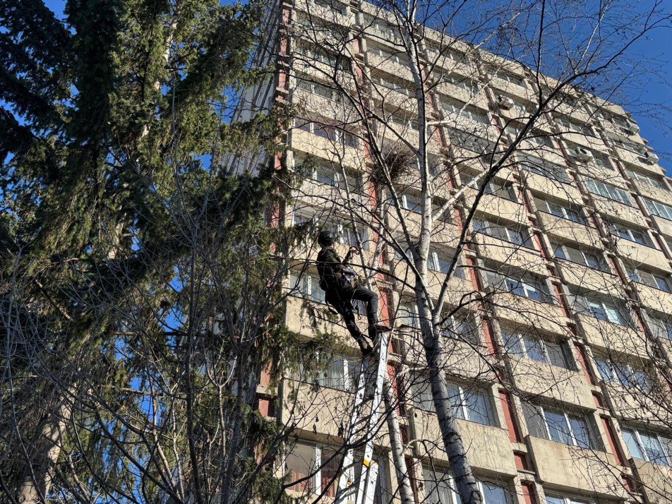 •  Fotó: Rara Avis Egyesület
