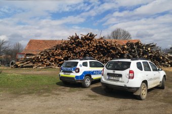 Hiány vagy többlet? Mindkettőért megfizettek a fafeldolgozók