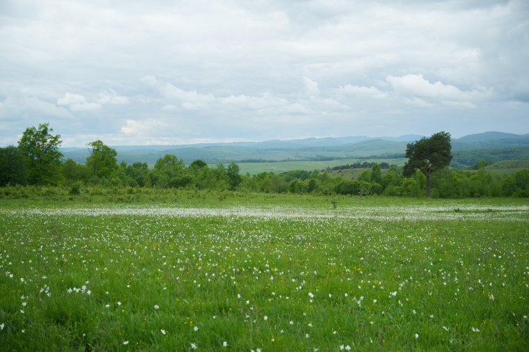 Változékony időjárásra kell számítani majális idején