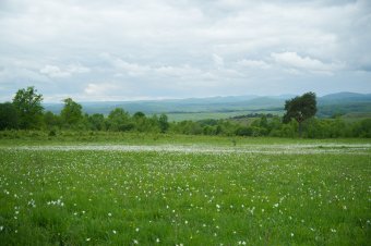 Változékony időjárásra kell számítani majális idején