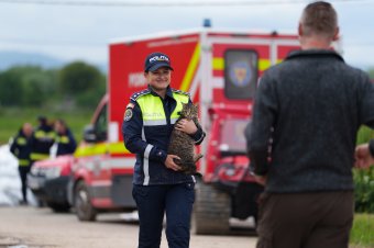 Az embereket megmentették, most az állatok következnek