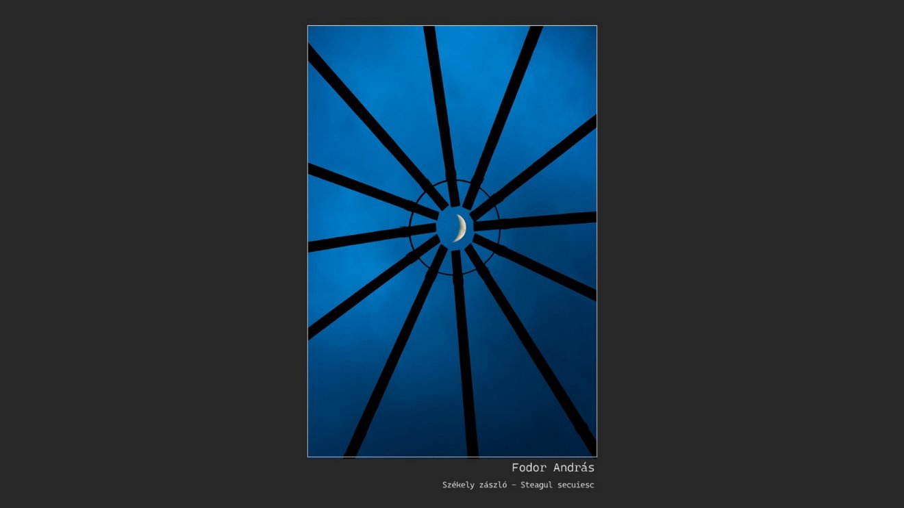 •  Fotó: Vadon Egyesület