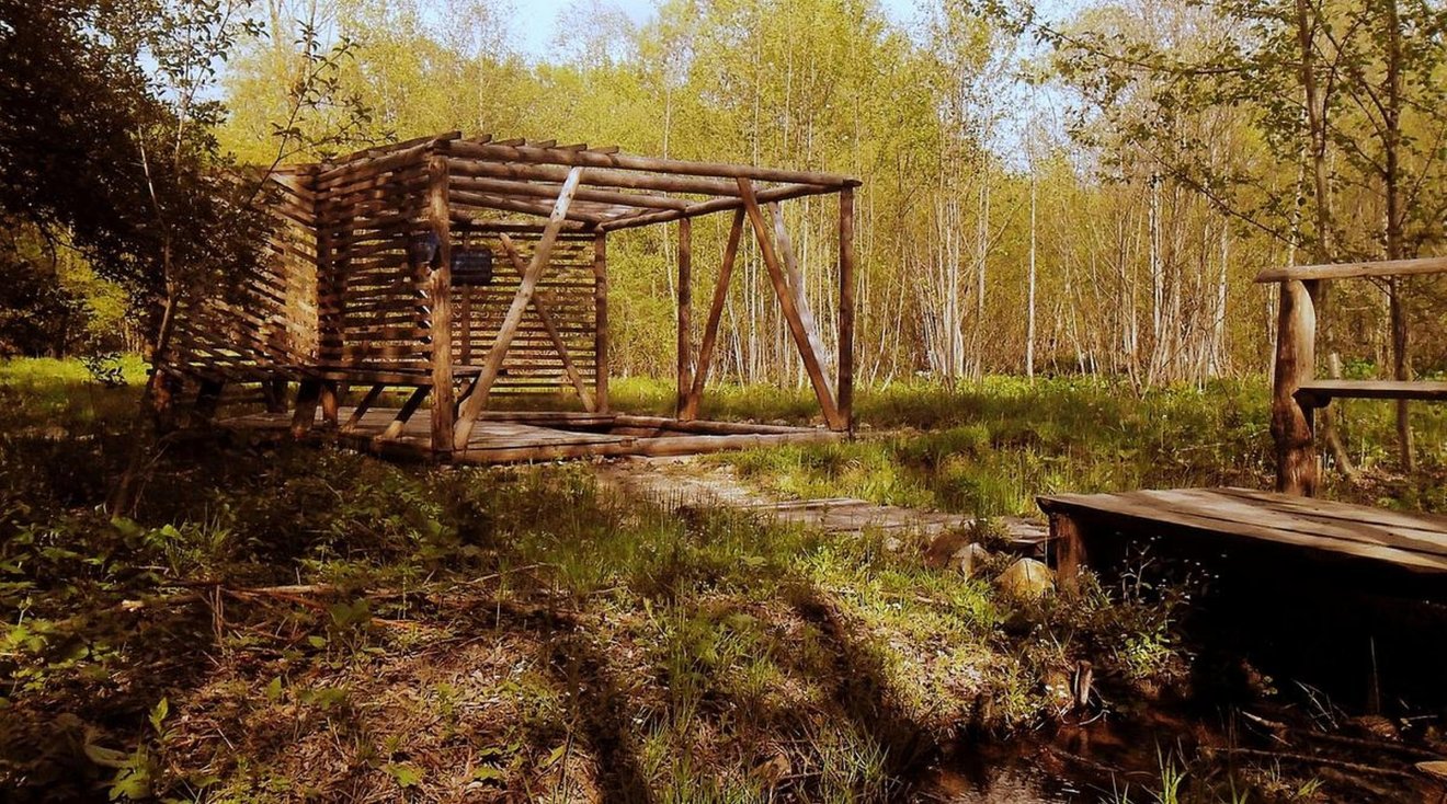 A zalánpataki Bugyogó-feredő •  Fotó: visitcovasna.com