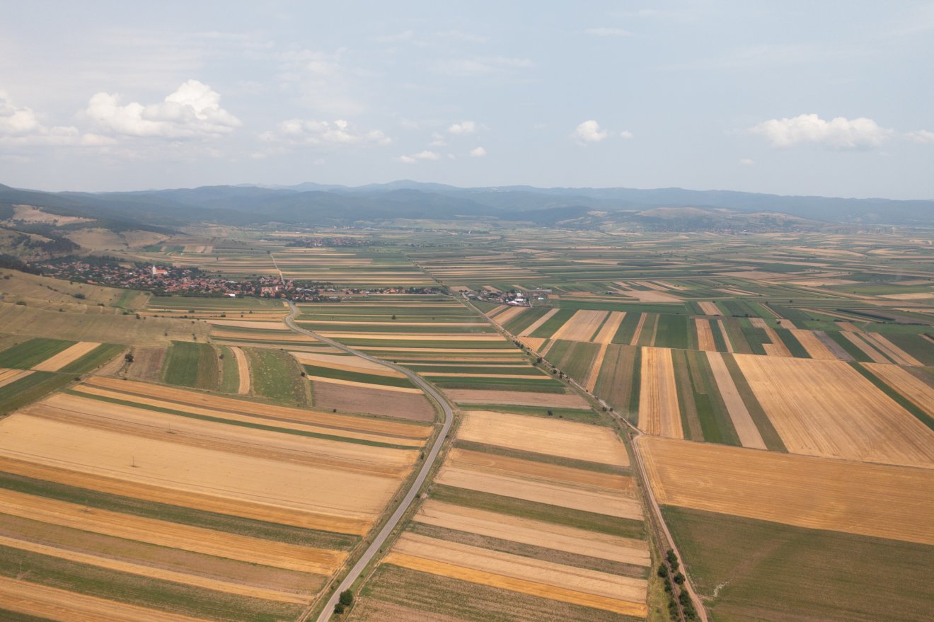 Nehéz évet zártak a gazdák, ráadásul 2026-tól a mezőgazdasági területek után is nagyobb adót kell fizetni &bullet;  Fotó: Tuchiluș Alex