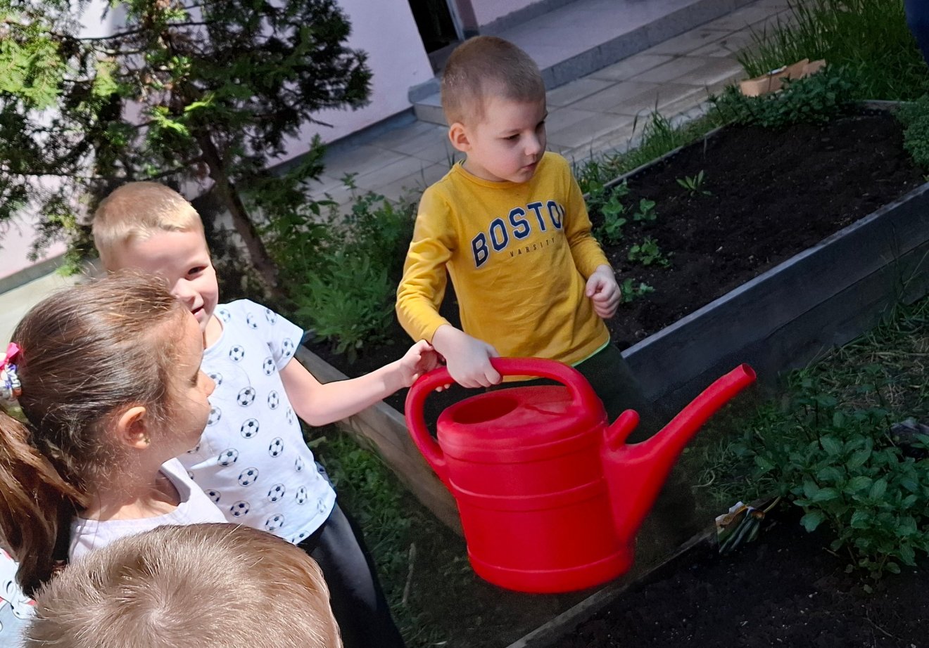 Retket, fejes salátát, sárgarépát, cukkinit, zöldborsót, uborkát, céklát és spenótot nevelhettek a kiskertészek, hogy  az egész szezonban legyen betakarítanivaló •  Fotó: Sepsi Metropoliszövezet/Facebook