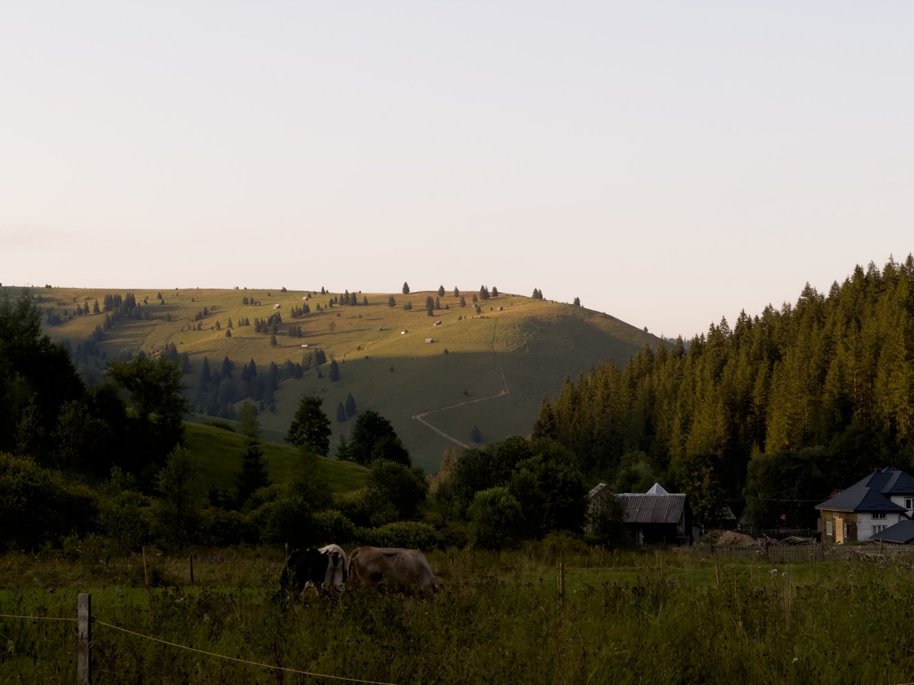 Bukovina meredek dobjai között kalandoztunk •  Fotó: Farkas Orsolya