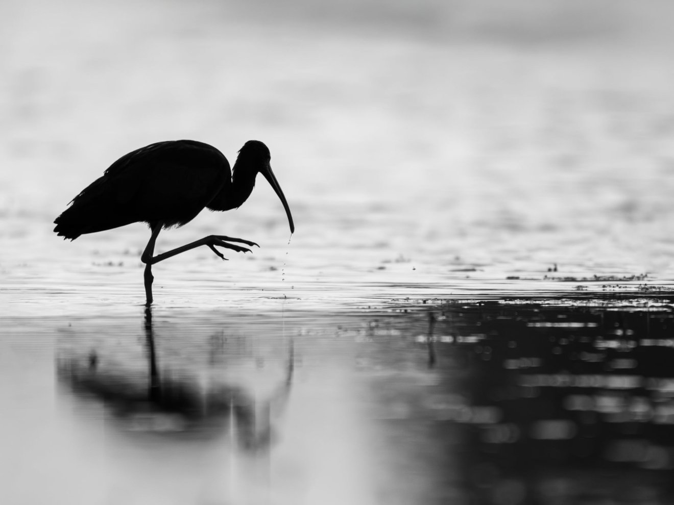 „Nesztelen léptek