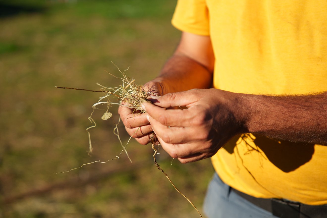 Jó gépekkel jó takarmány készül &bullet;  Fotó: Tuchiluș Alex