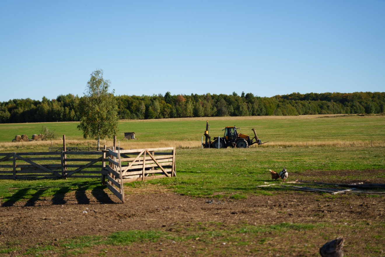 &bullet;  Fotó: Tuchiluș Alex