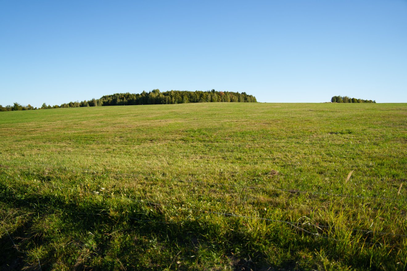 Többszáz hektáron lehet gazdálkodni, kísérletezni, nemesíteni &bullet;  Fotó: Tuchiluș Alex