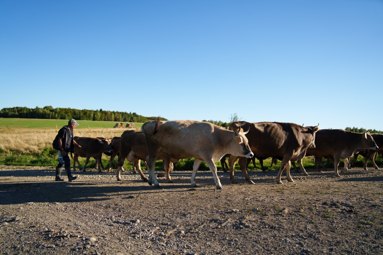 &bullet;  Fotó: Tuchiluș Alex