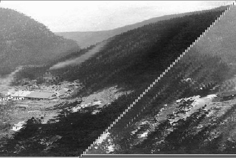 A történelem elemésztette, de az emlékezetnek őriznie kell a Zabolai fakitermelés fénylő lapjait