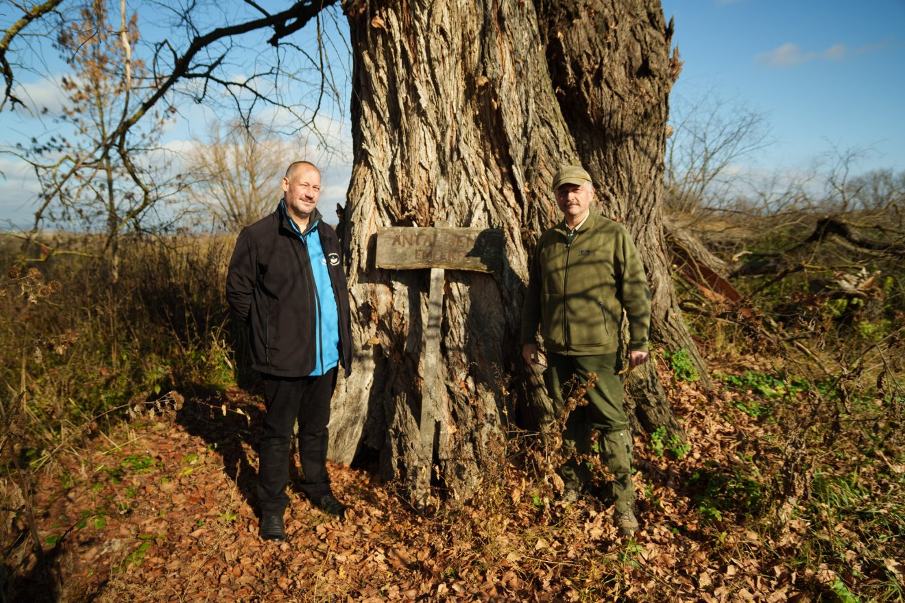 Demeter Zoltán (balról) és Bálint Csaba (jobbról) a köpeci szil elhivatott védelmezői •  Fotó: Tuchiluș Alex