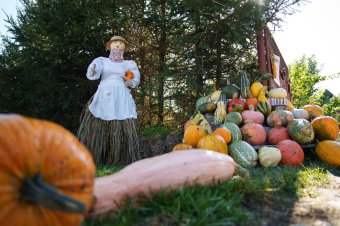 Páké turisztikai vonzáspontja lett Szabóék tökös portája