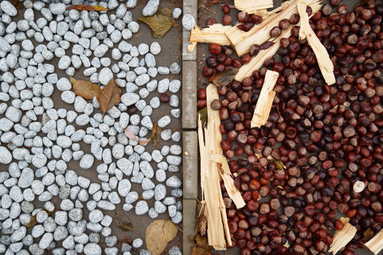 A város leghosszabb mezítlábas ösvényével várják a diákokat